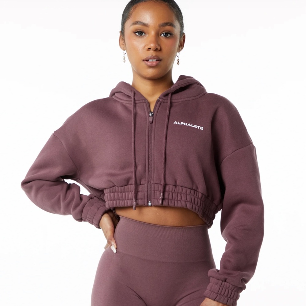 Alphalete crop hoodie in Autumn